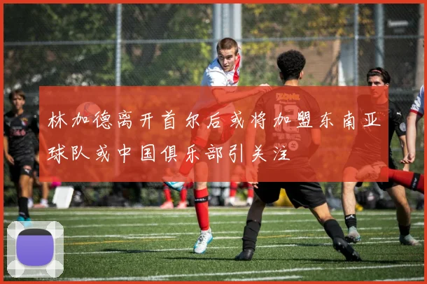 林加德离开首尔后或将加盟东南亚球队或中国俱乐部引关注